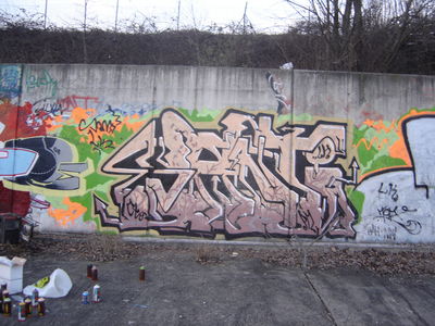 SANTY