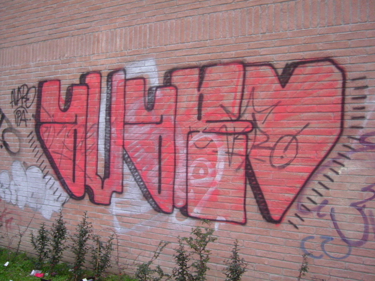 AVARO