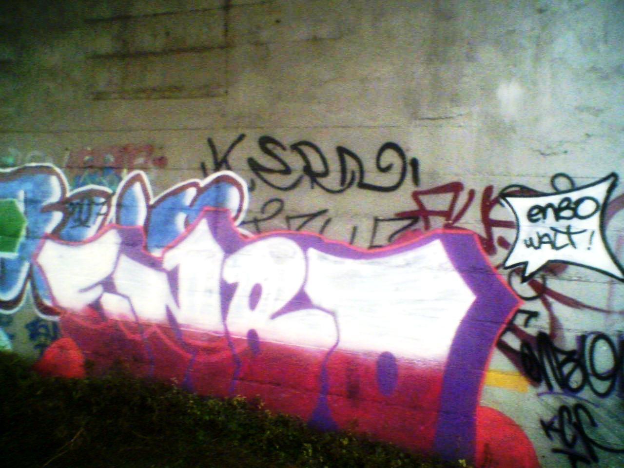 ENBO