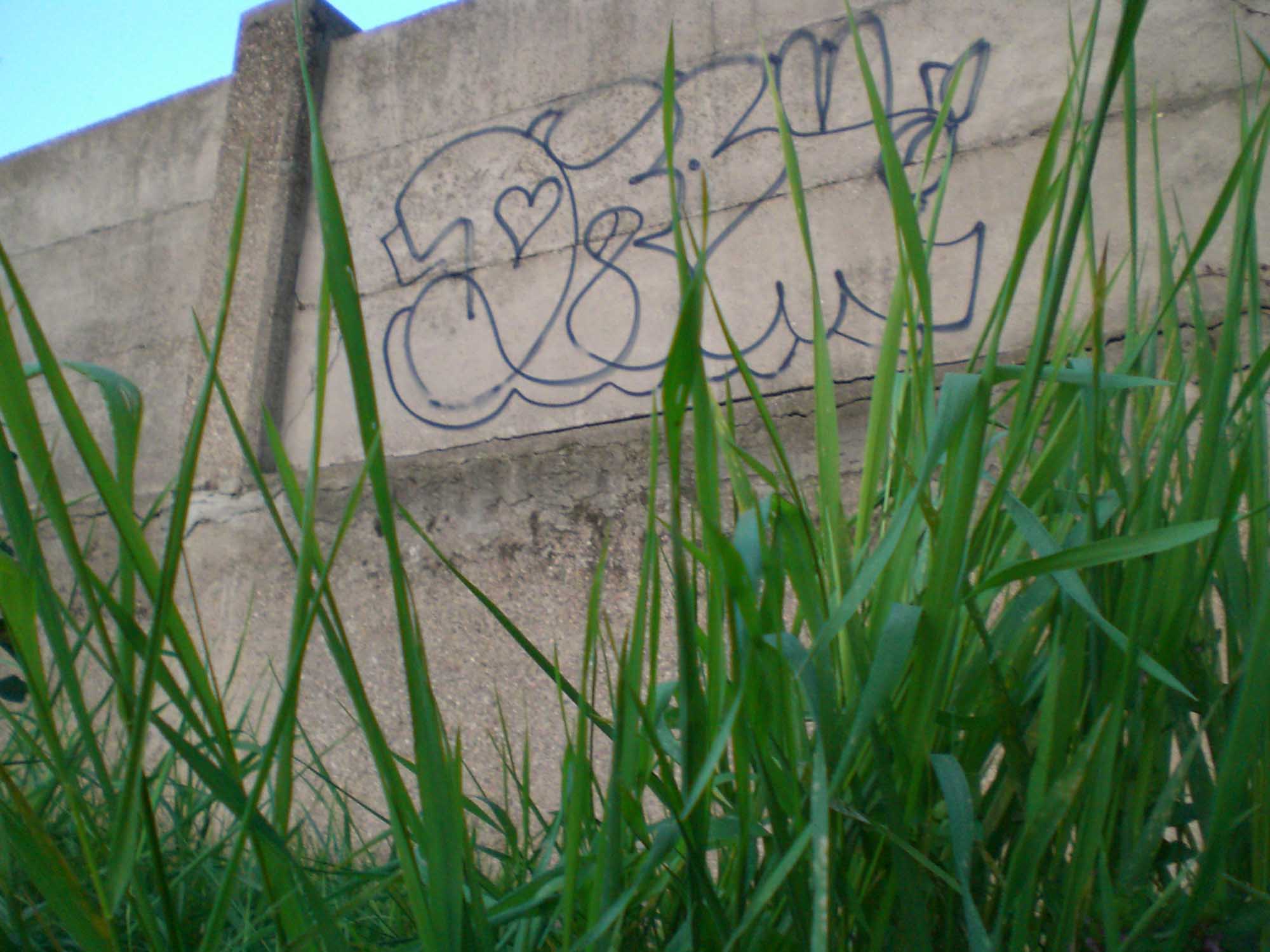DROM