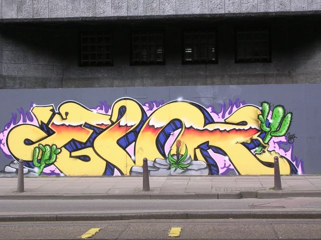 CACTUZ