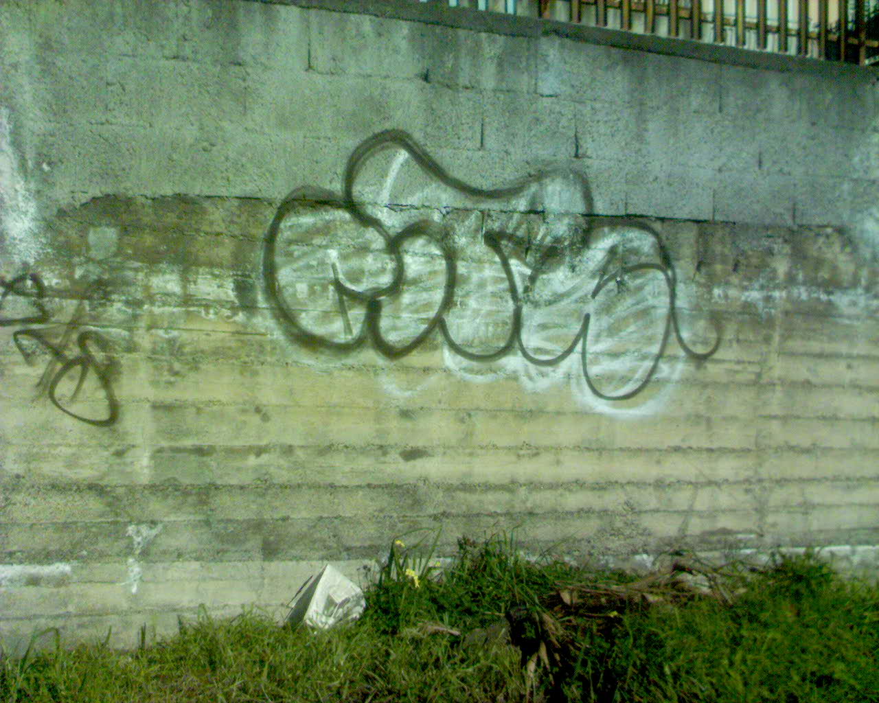 CITA