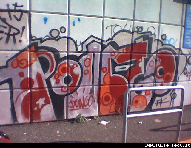 PONGO