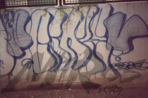 CRAZE