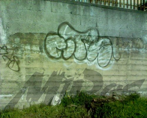 CITA